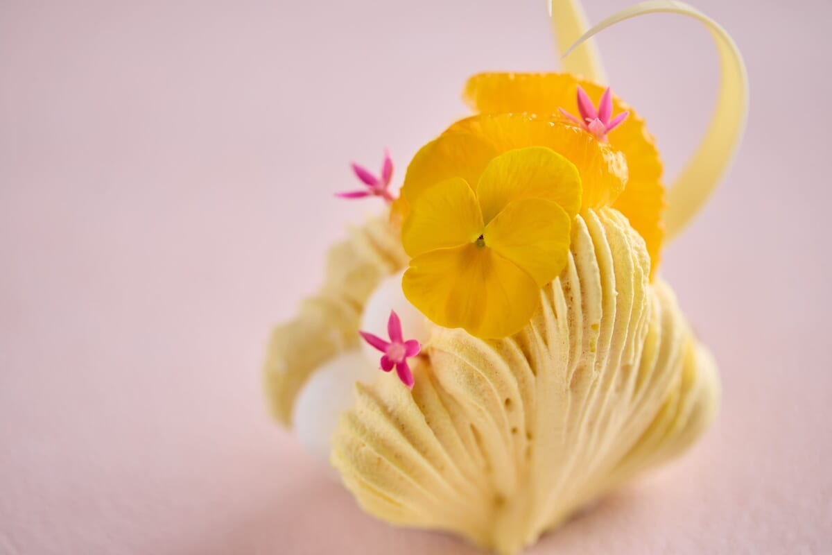 ムラングシャンティ~ミモザ~ Meringue and Whipped Cream with Orange in Sparkling Wine