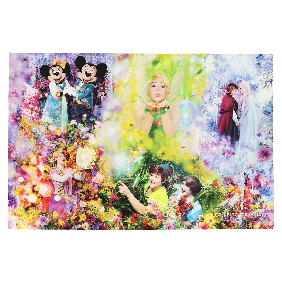 「アナ」「エルサ」「ラプンツェル」などファンタジースプリングスの仲間たちが大集合したレジャーシート