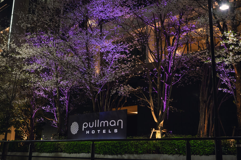 桜のライトアップ