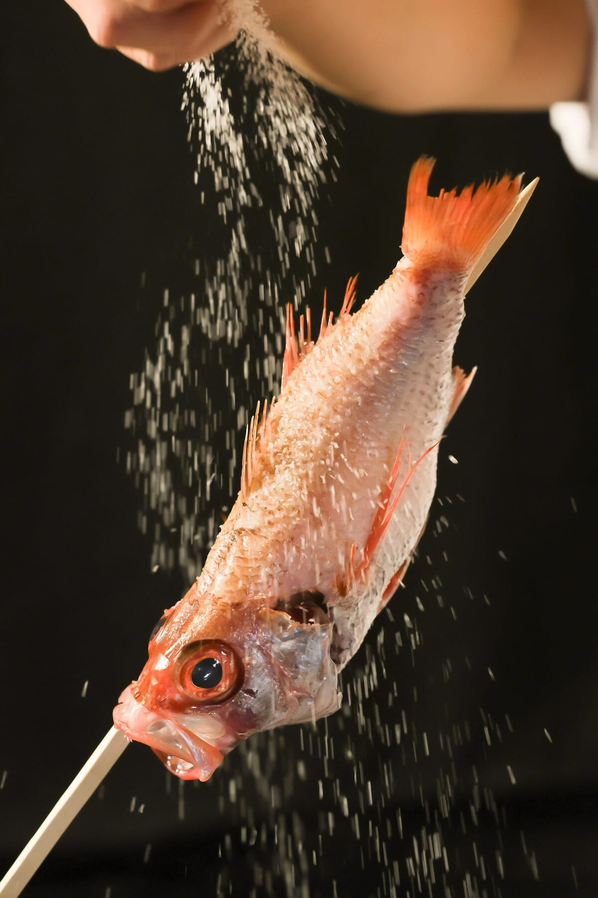 “最高峰の火入れ”