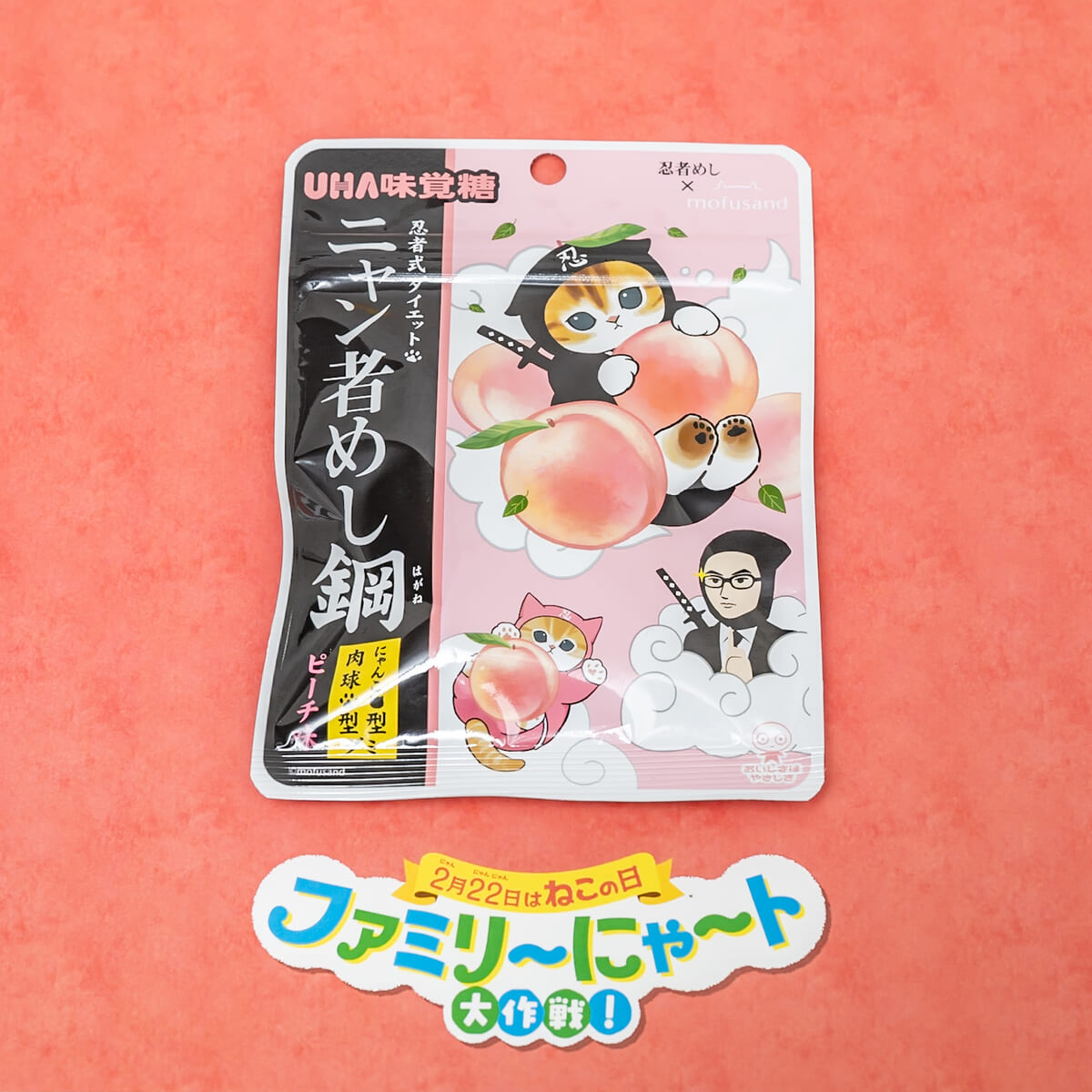 ニャン者めし鋼　ピーチ味