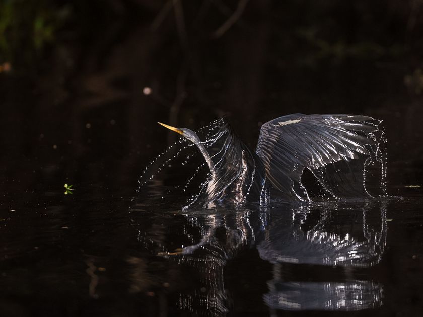 クリエイティブダイアログ4