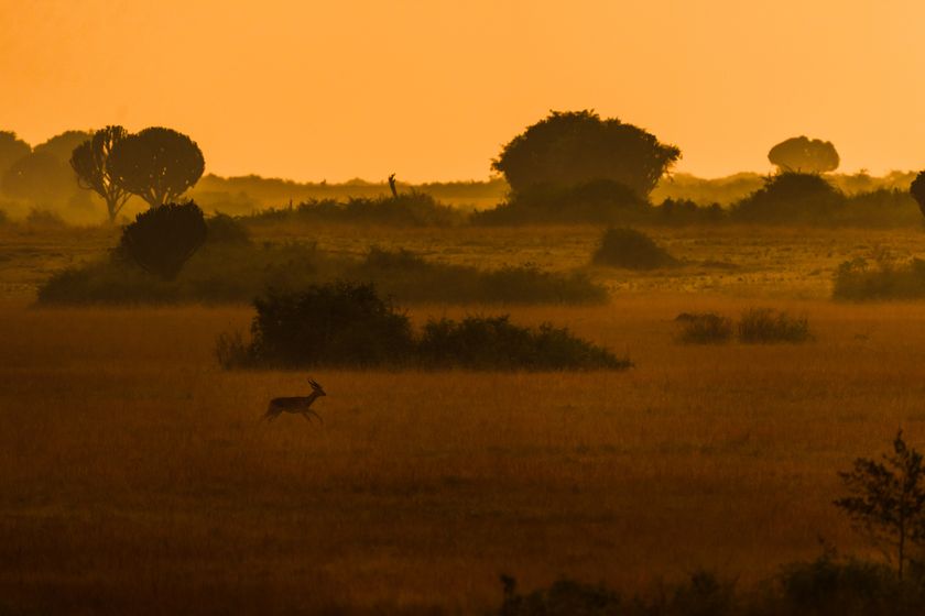 クリエイティブダイアログ5