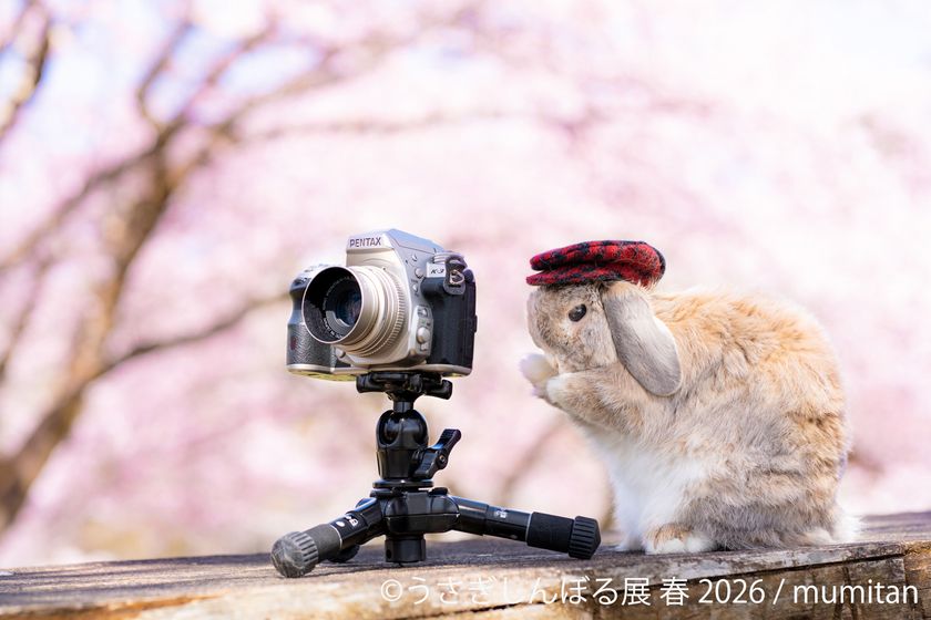 うさぎしんぼる展 mumitanの展示作品