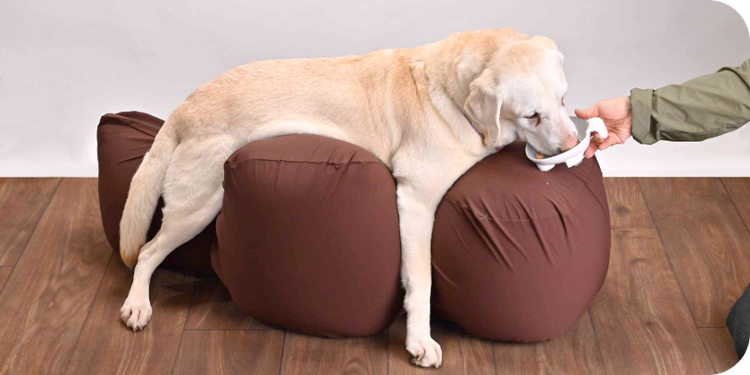 リラクッション 使用シーン