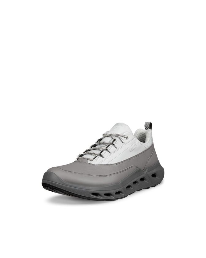 ECCO BIOM® 720 GTX WHITE/BLACK/BLACK