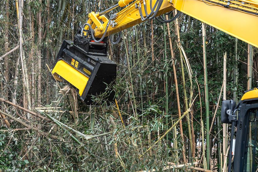 タケカルゴン 竹林 作業風景
