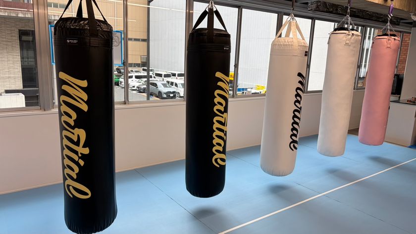 ALMA FIGHT GYM OSAKA HONMACHI サンドバック