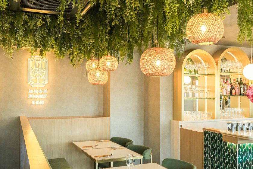 MOON FOREST 月林閣 月と森の空間の店内