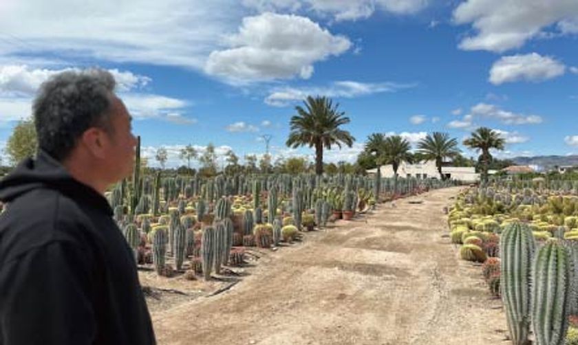 Kayu style 2026 New Collection