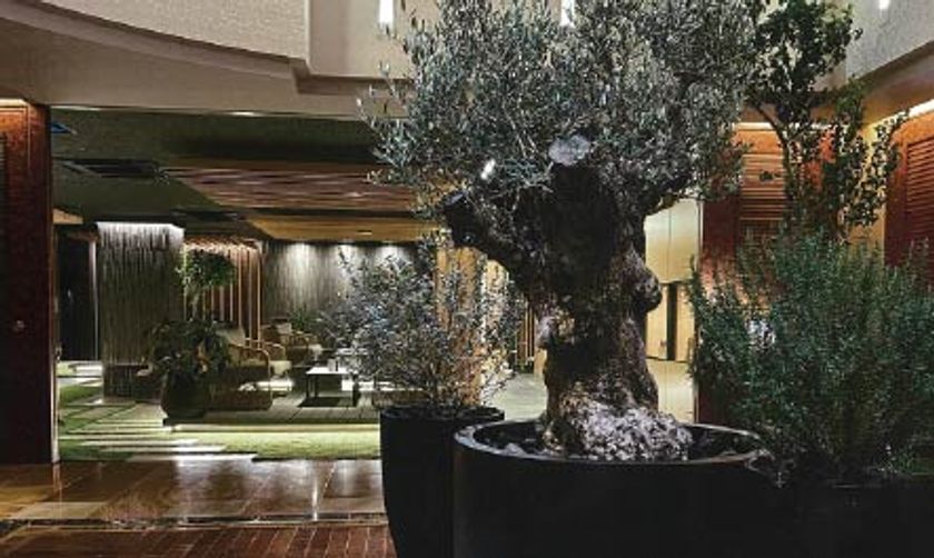 Kayu style 植栽施設