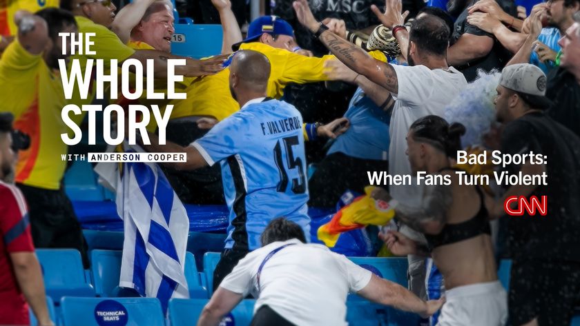 ザ・ホール・ストーリー スポーツファン 暴力行為