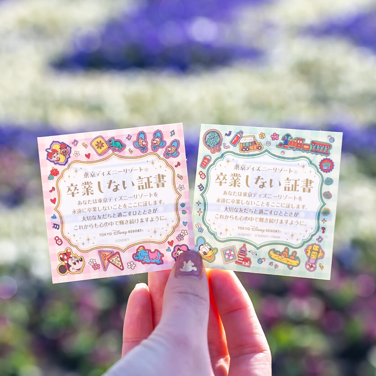 東京ディズニーリゾート「春ディズニー！」特典＆体験まとめ