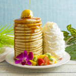 Eggs ’n Things「16 Stack Pancakes!」