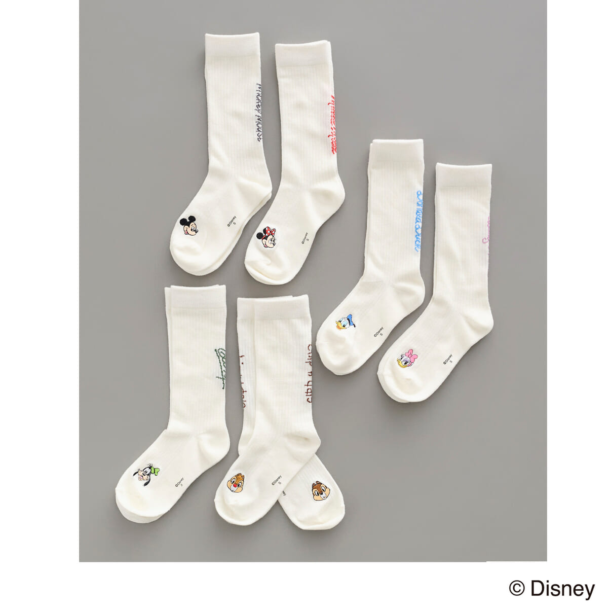 〈アース ミュージック&エコロジー〉アソート刺しゅう入り靴下