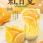 紅甘夏クラフトレモネードのポスター