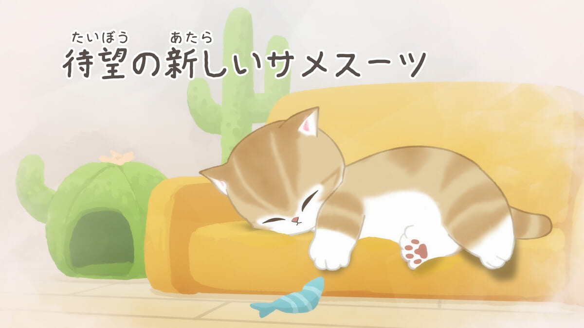 待望の新しいサメスーツ