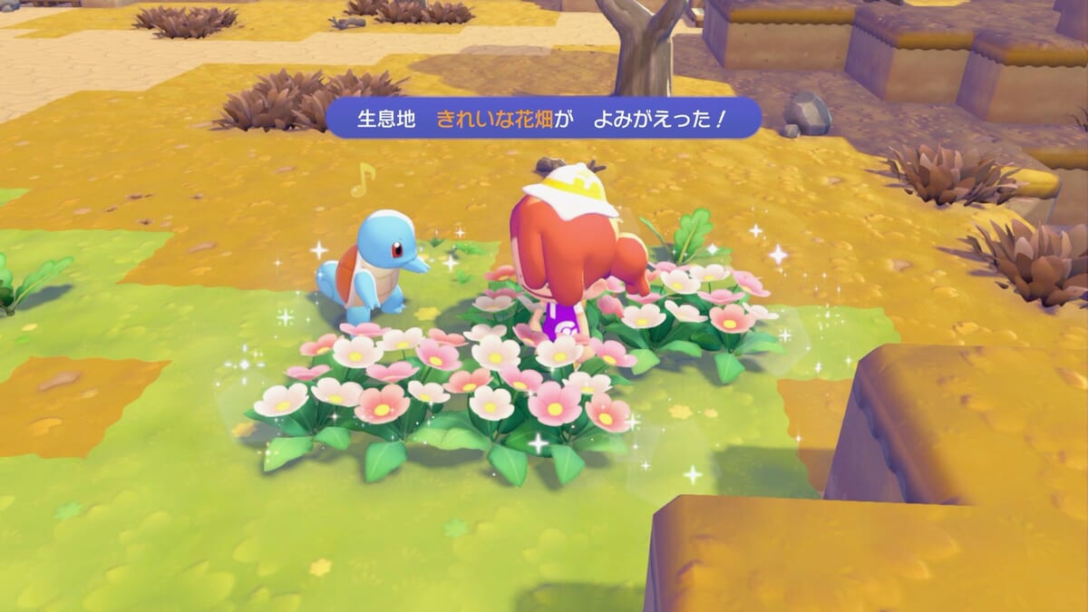 『ぽこ あ ポケモン』生息地