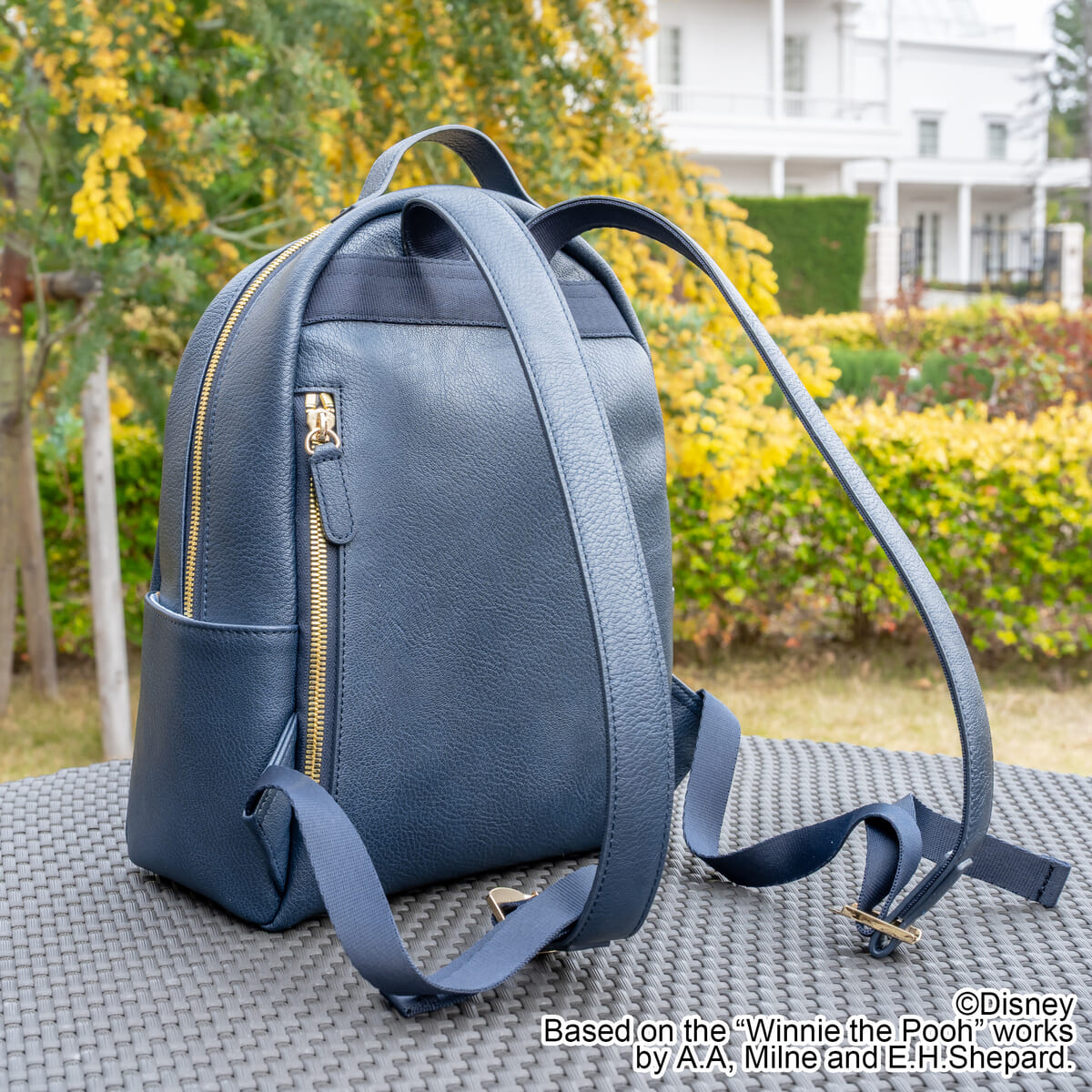 Disney『くまのプーさん』ミニリュック　イーヨー5