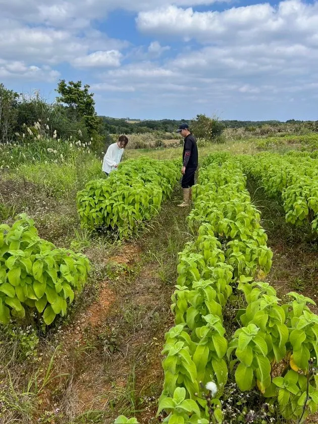 山﨑さんから直接指導を受ける