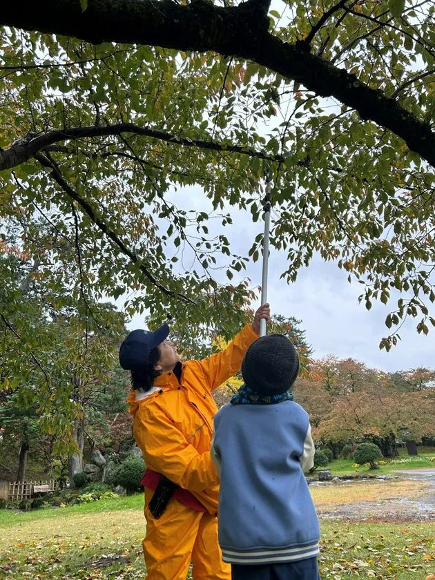 さくらに関する体験型イベント