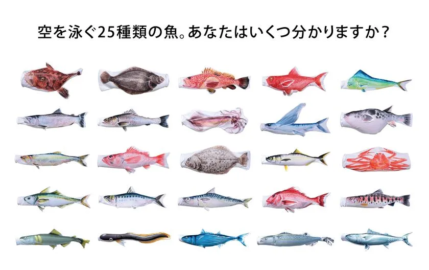 魚のぼり一覧