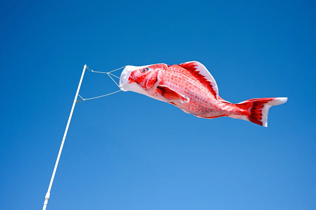 徳永こいのぼり「のぼり水族館」のたい