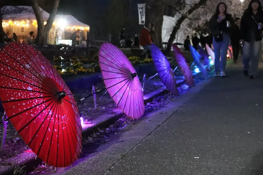 和傘イルミネーションが並ぶ幻想的な夜の散策路