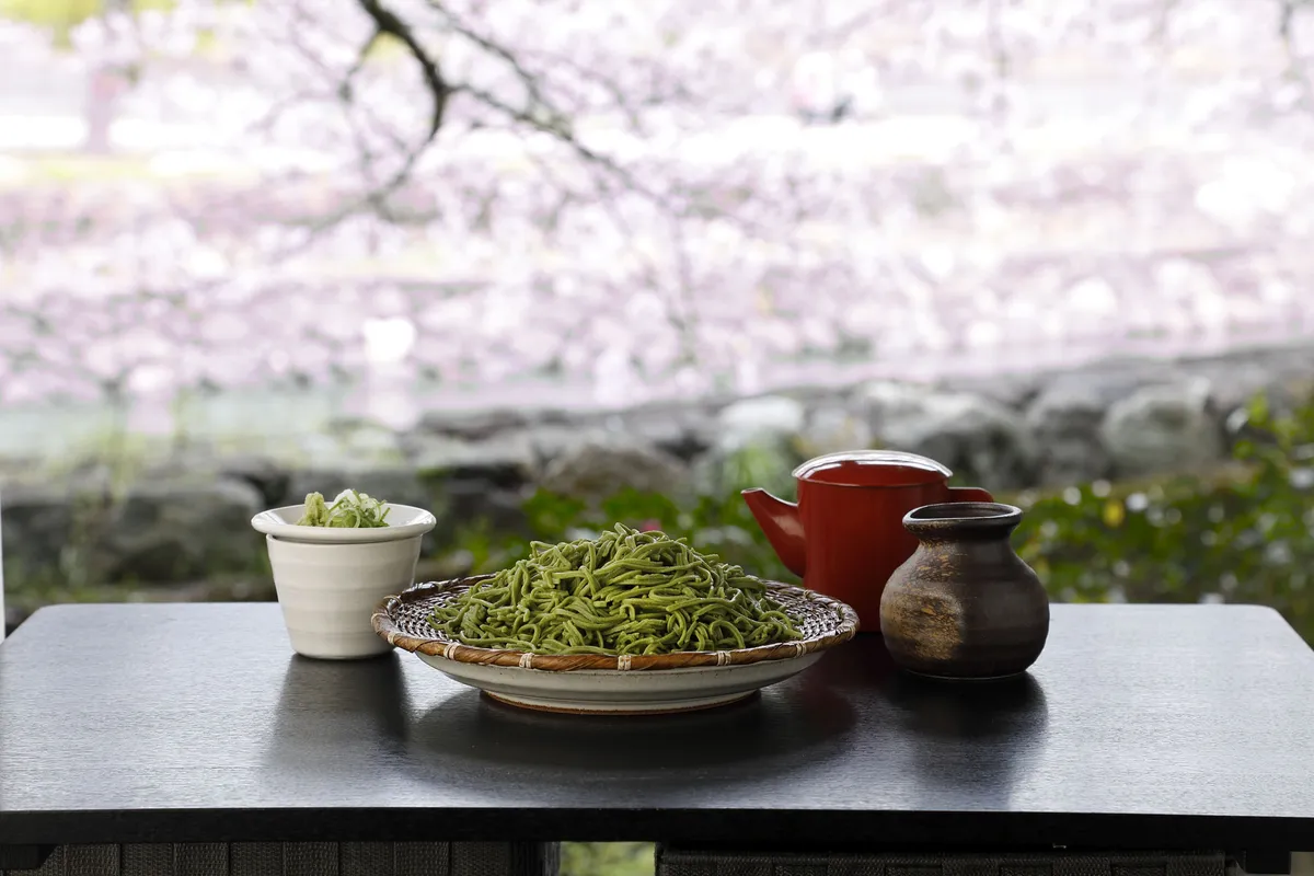 満開の桜を背景にした鮮やかな宇治抹茶蕎麦のざる盛り
