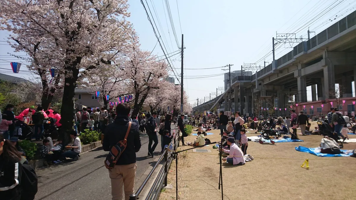 西南さくら祭り 過去の会場の様子