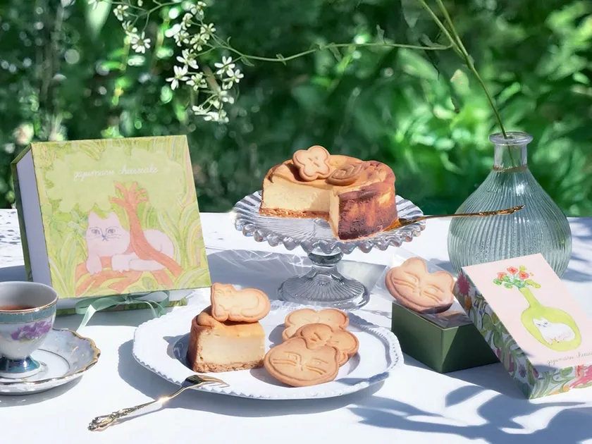 gajumaru cheesecakeのギフトボックス