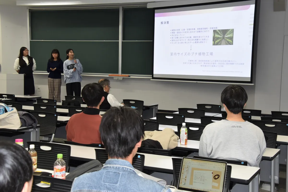 キャンプサイト