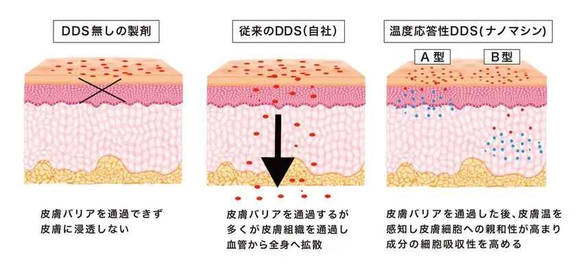 ナノマシンが皮膚細胞に内包成分を高濃度で送達できる仕組み