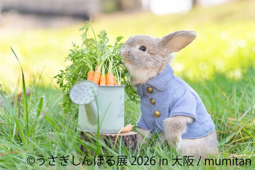 うさぎしんぼる展 2026 in 大阪