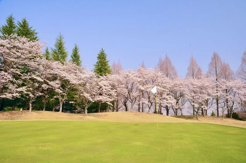 紫塚ゴルフ倶楽部のレストラン内観