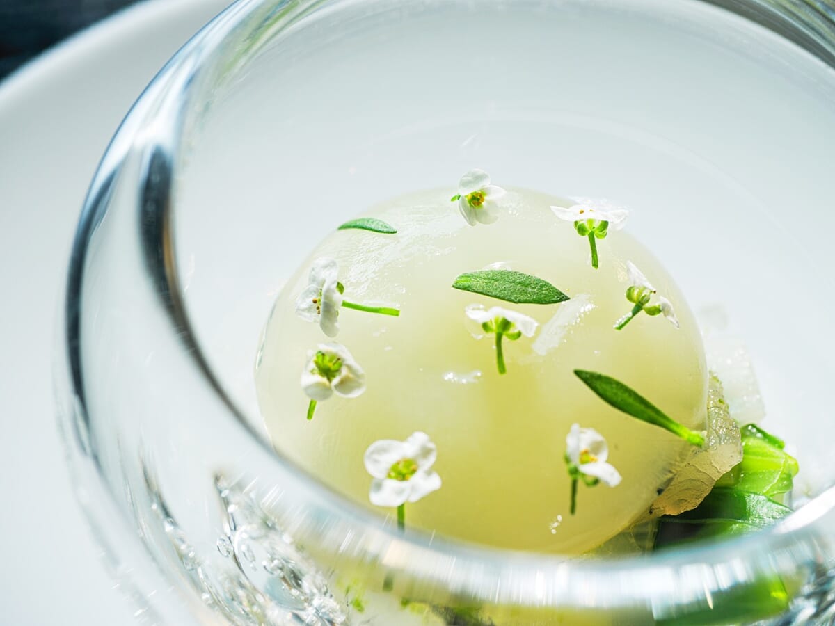 エルダーフラワーと魚介のマリネ