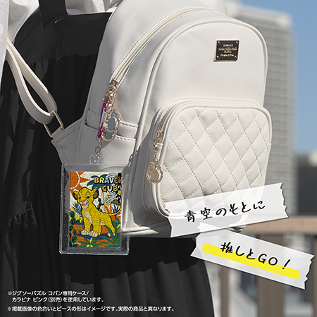 専用ケースに入れてお出かけ