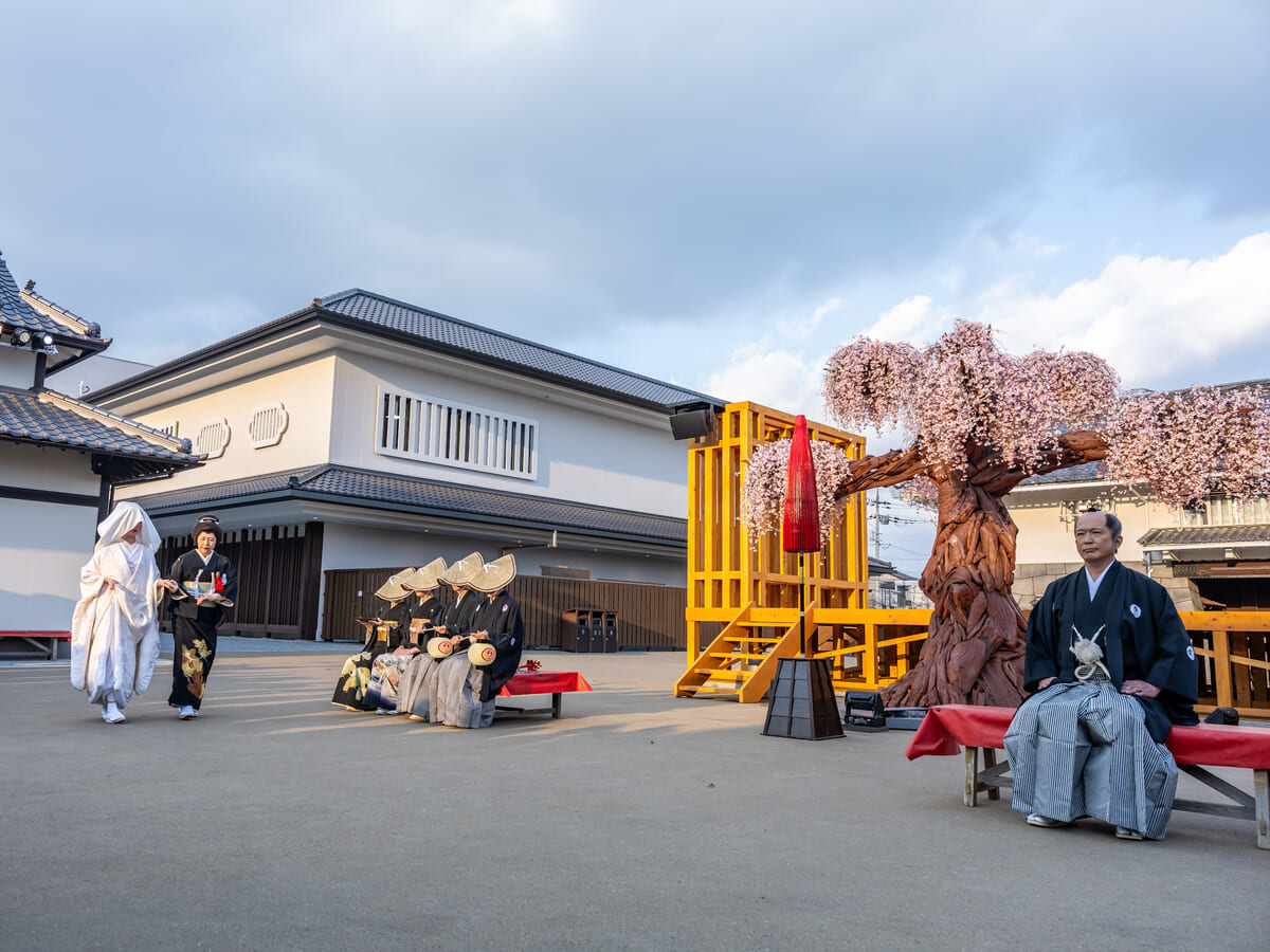 360°リアルタイムドラマ「花嫁道中 桜の宴」3