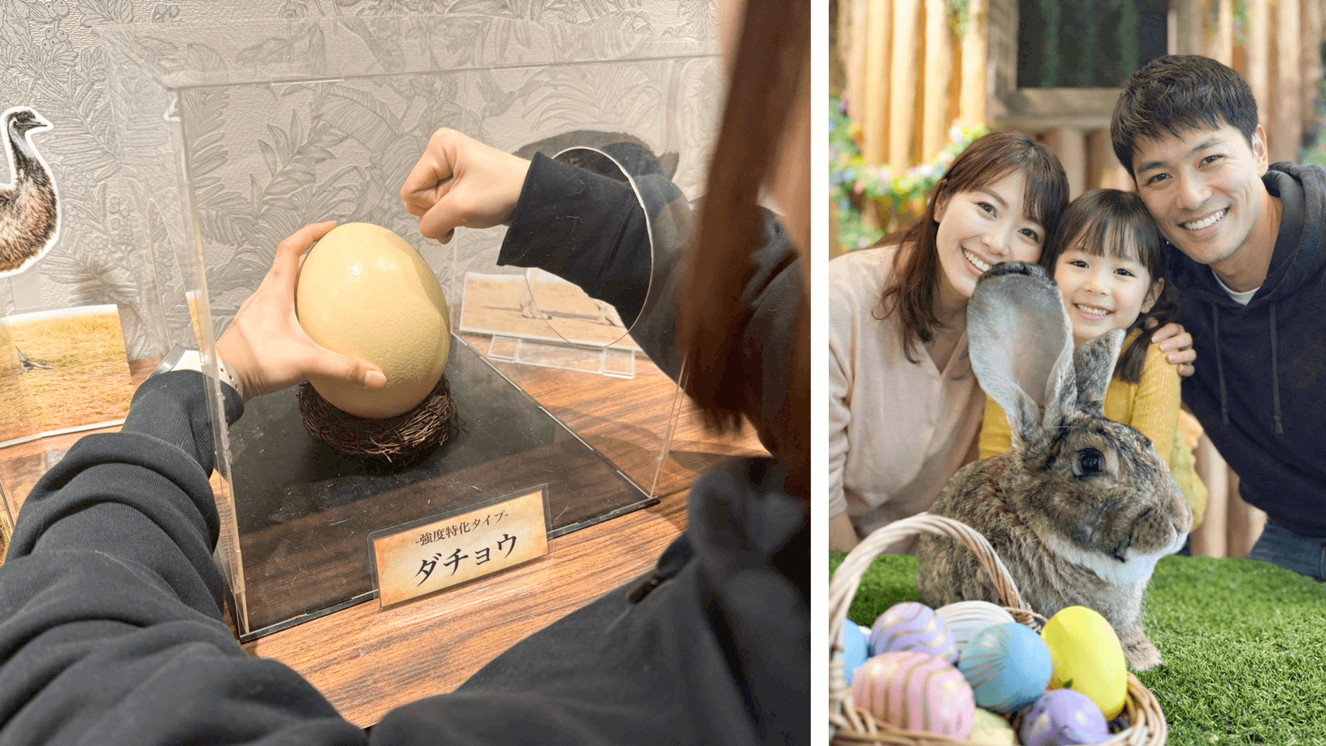 Animeal イースター特別企画