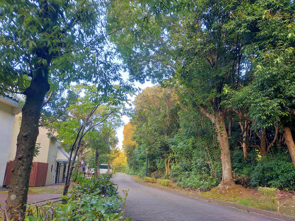 ハウステンボス 環境省「自然共生サイト」認定