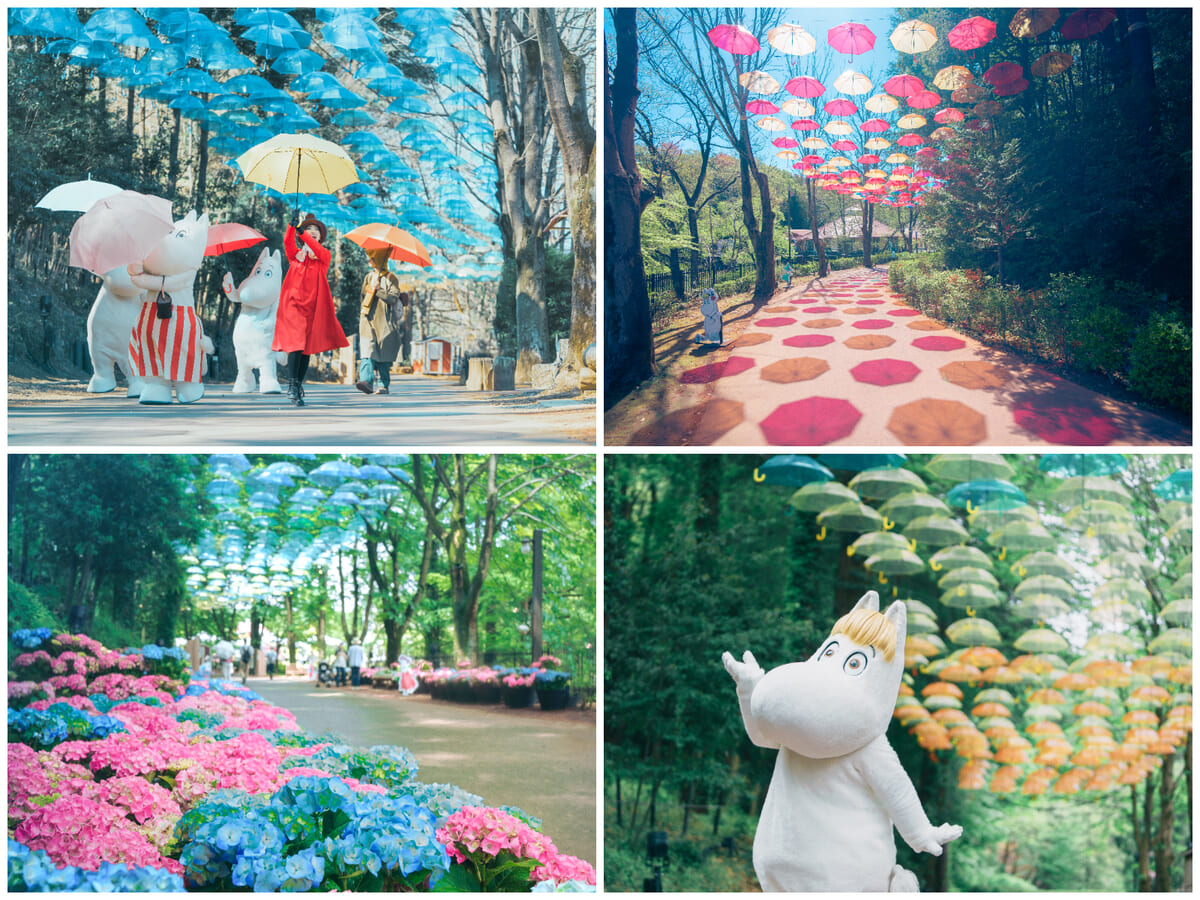 ムーミン谷とアンブレラ