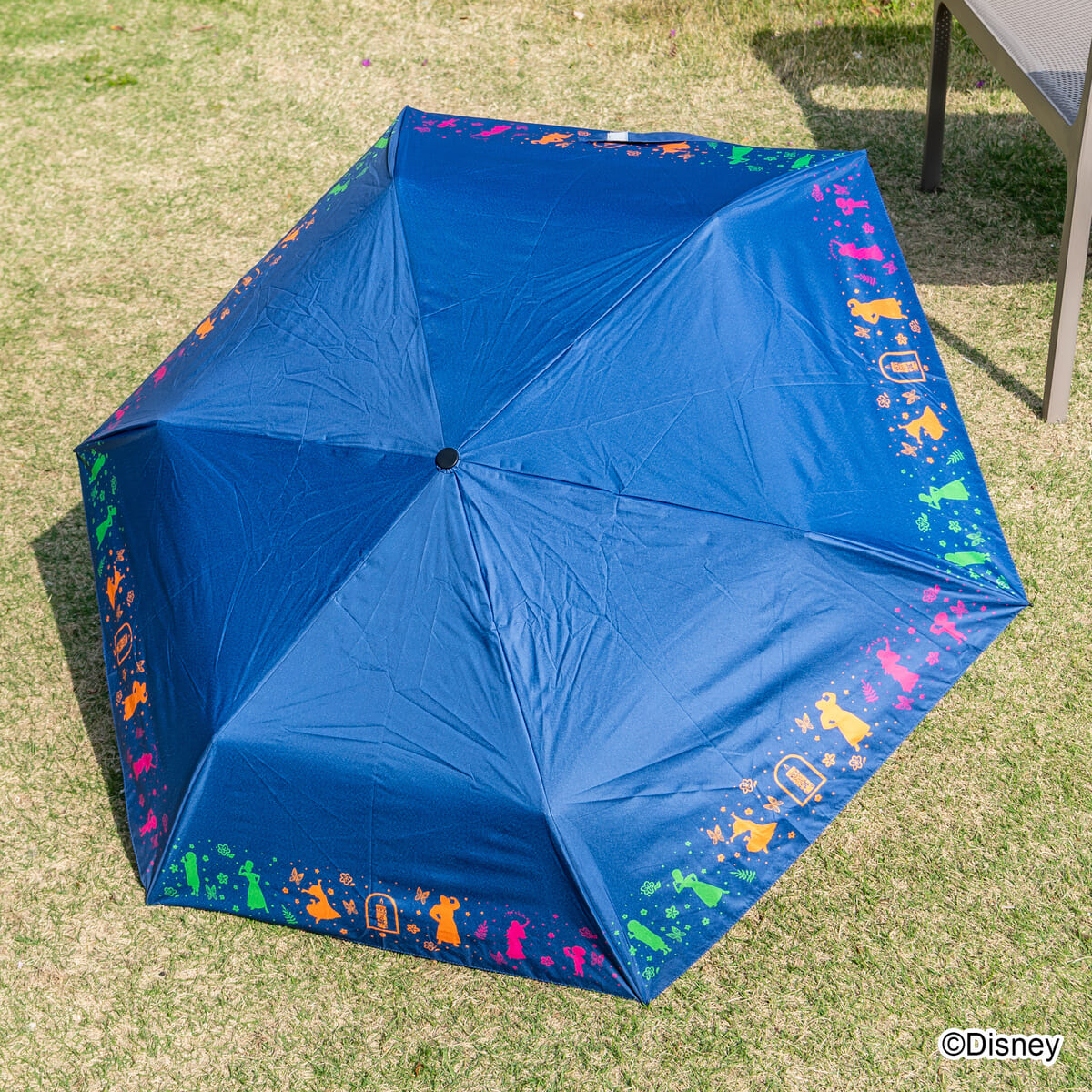 『ミラベルと魔法だらけの家』デザイン