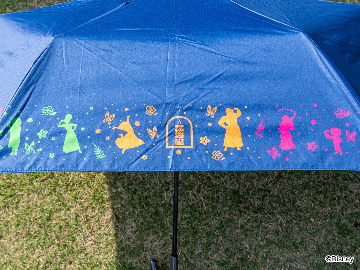 『ミラベルと魔法だらけの家』デザイン2