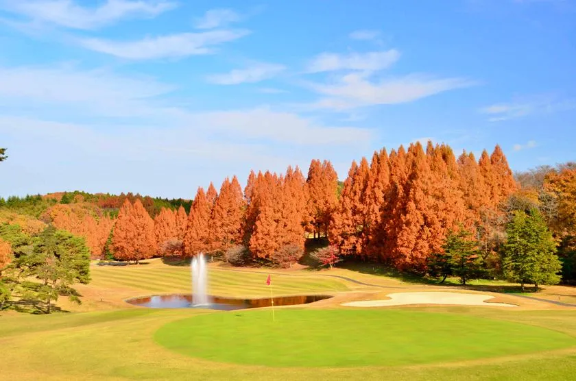 楽天GORAアワード2025の受賞を示す証明