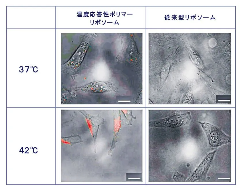 日本形成外科学会・日本皮膚科学会総会での学会共催セミナー