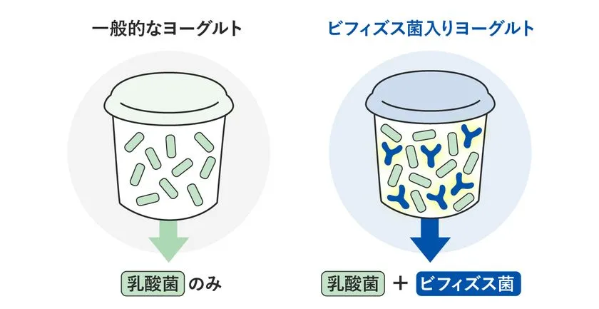 種類が豊富なヨーグルトの売り場。目的を決めることが選ぶ第一歩