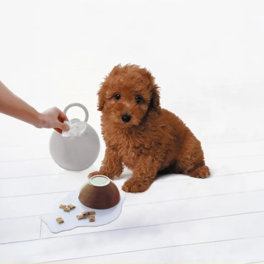 場所を選ばないポータブル設計