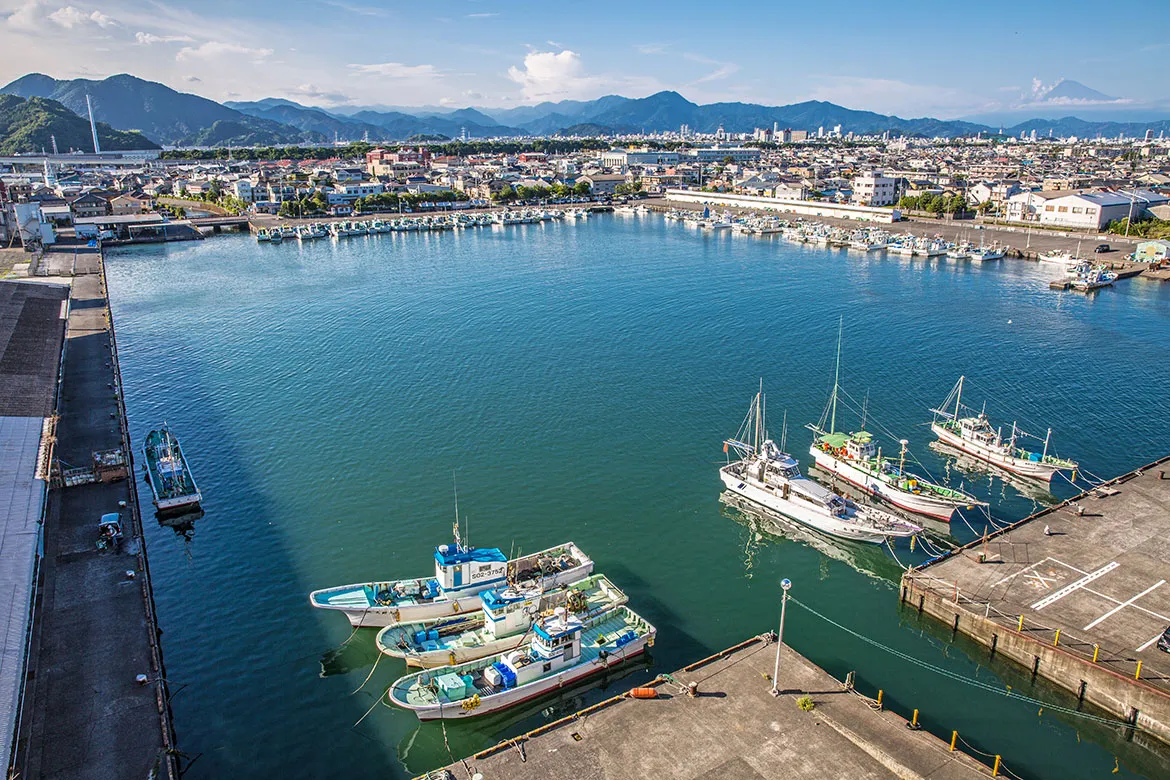 クラフトビールやしらすグルメを楽しむ会場