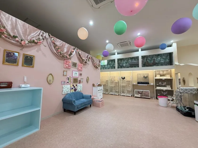 動物ふれあいルーム(1)