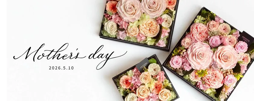 アモローサモデルノ 2026年母の日特集